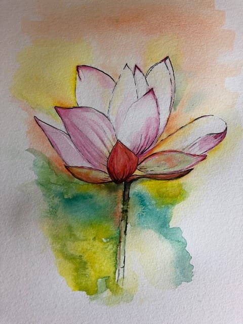 The lotus flower