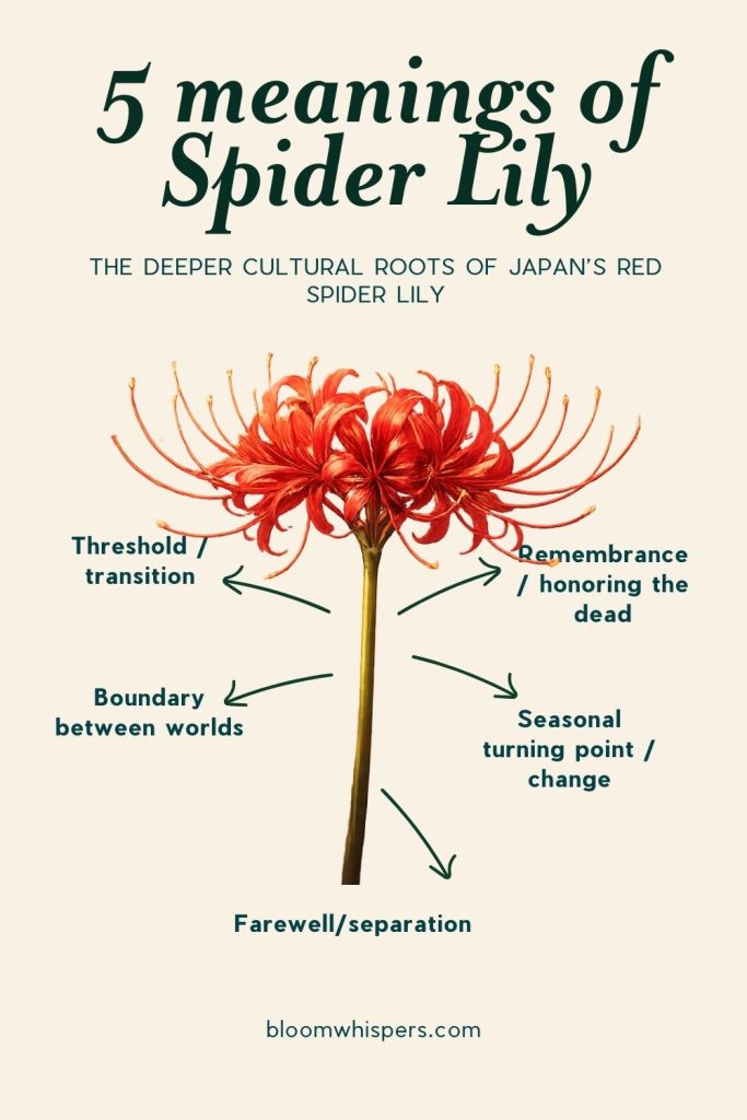 Red Spider Lily Symbolism