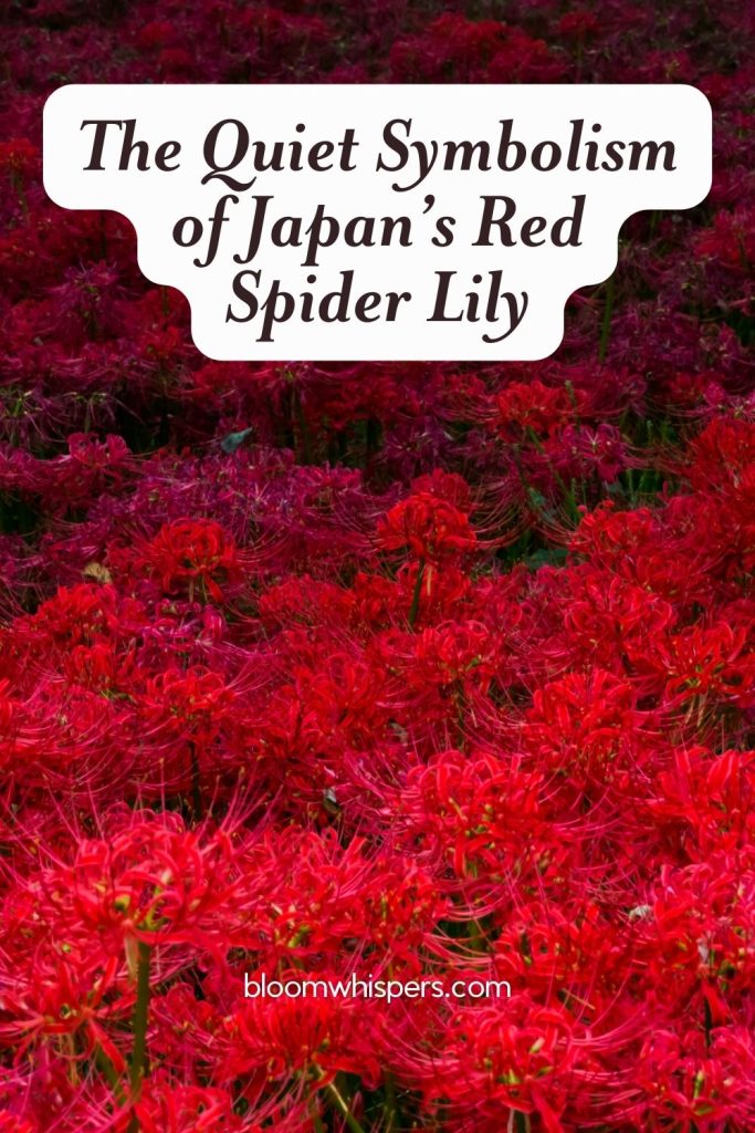 Red Spider Lily Symbolism 
